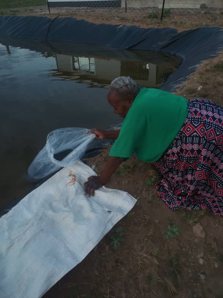 Fish Farming Training